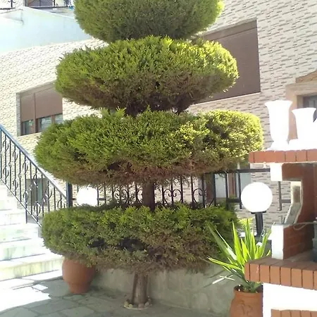 Dina 1 Apartamento